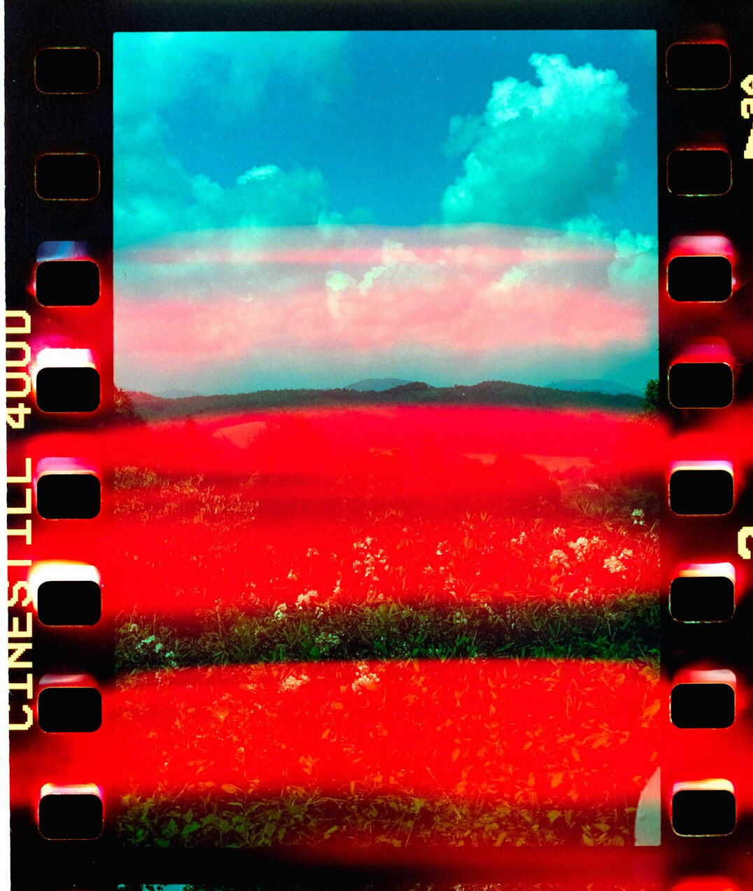 color grading in film